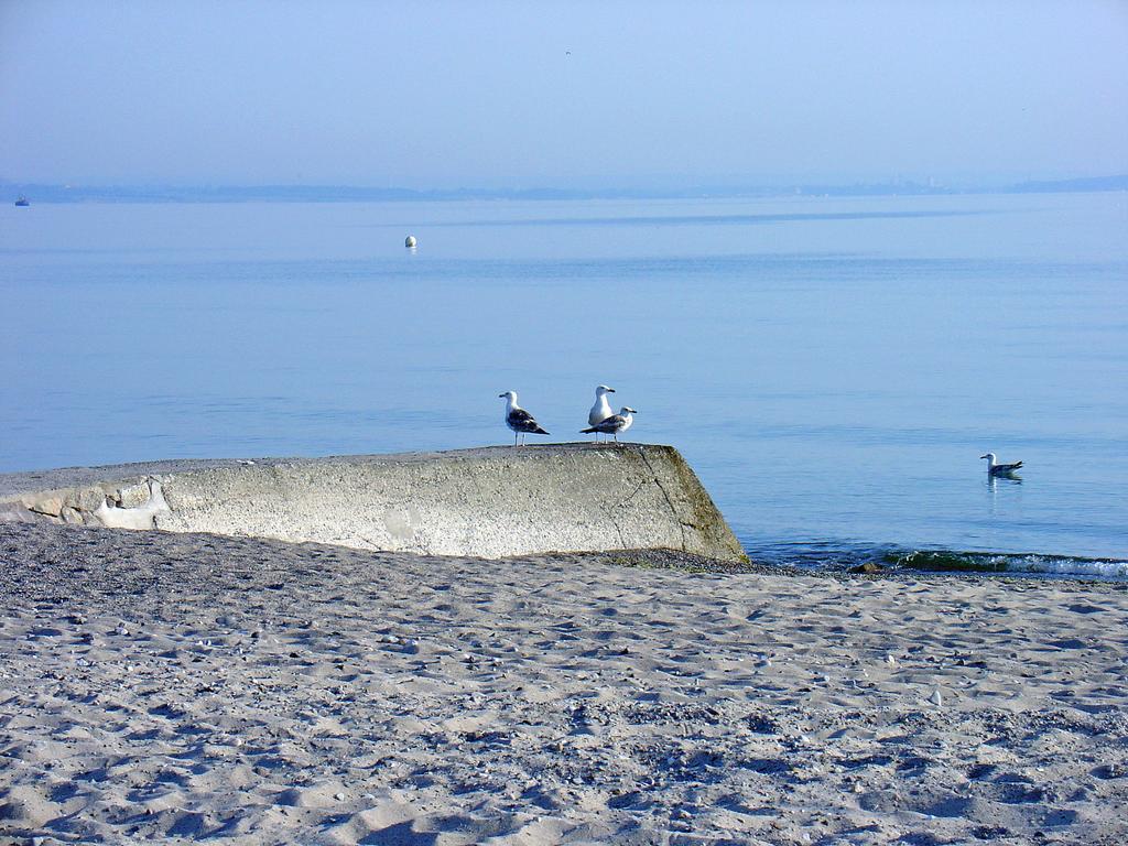 Fewo Machedanz Am Hafen Timmendorfer Strand Ot Niendorf Екстер'єр фото
